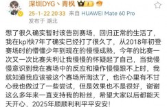 【沙巴娱乐】DYG青枫宣布休息：心有不甘也做过一些尝试，但是效果也不是很好